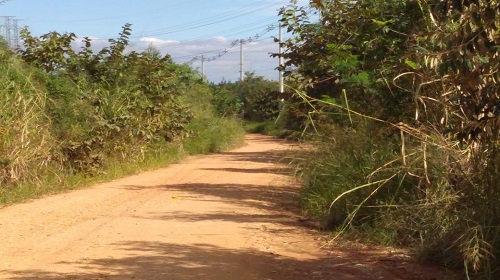 Estrada Rural GuarujaPiraí 1