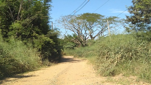 Estrada Buru