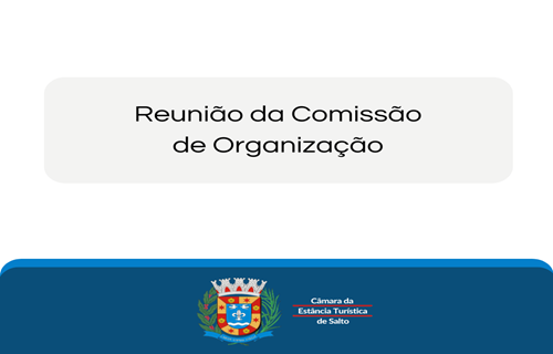 comissao organizacao