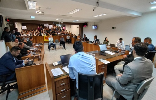 audiencia publica plc50 2
