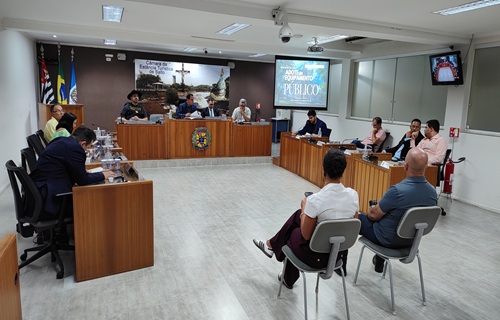 01 audiencia publica pl98 2025