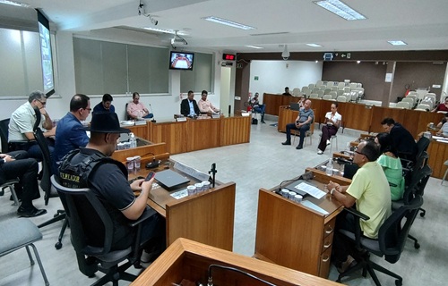 03 audiencia publica pl98 2025